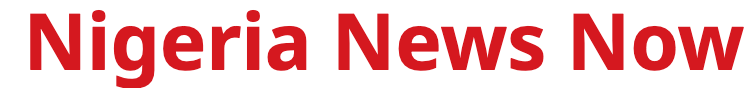 Nigeria News Now logo